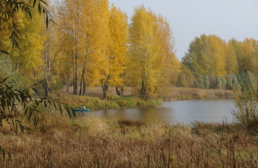  ,      -       ... - 10