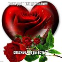 ���� �����, �����-�������� - ��������� 14 ������� 2019 � ������ ���� ����������