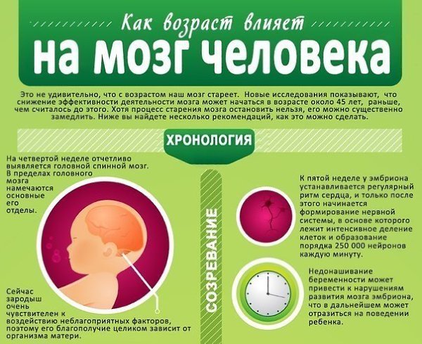 Как возраст влияет на мозг человека? Время летит, мы стареем, а вместе с нами - и наш мозг.