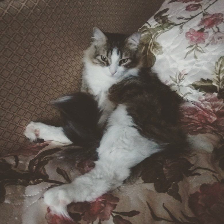 #�������_�����.� 2013 �������� ������, ������ �������,� ������� ������,�������� ��������� �� ����� ... - 6