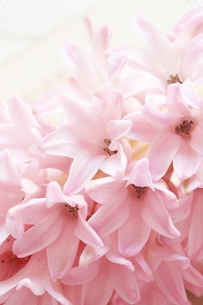  ).      , ,     ... - 2