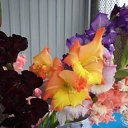 ���� ������, ������ - ��������� 26 ������� 2019 � ������ ���� ����������