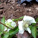 ���� ������, ������� - ��������� 23 ������� 2018 � ������ ���� ����������