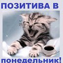 ���� Sergant, ������, 42 ���� - ��������� 12 ������� 2019