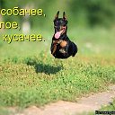 ���� ����, ������ �������� - ��������� 27 ������� 2019 � ������ ���� ����������