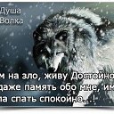  White Wolf,  -  7  2018   