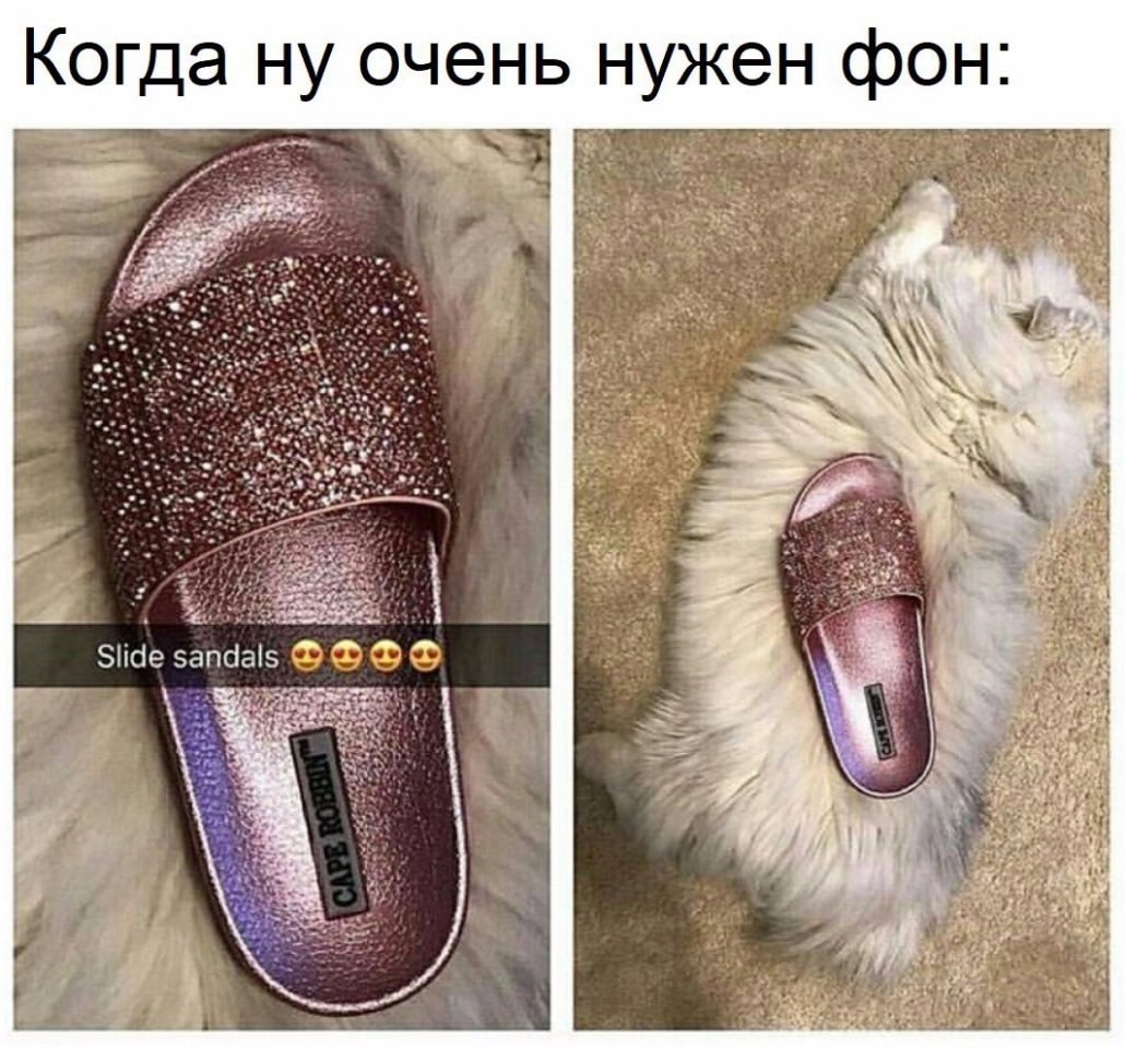   - 5  2018  16:16