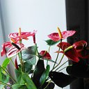 ���� �������, ������� - ��������� 1 ������� 2018 � ������ �������� �������.�