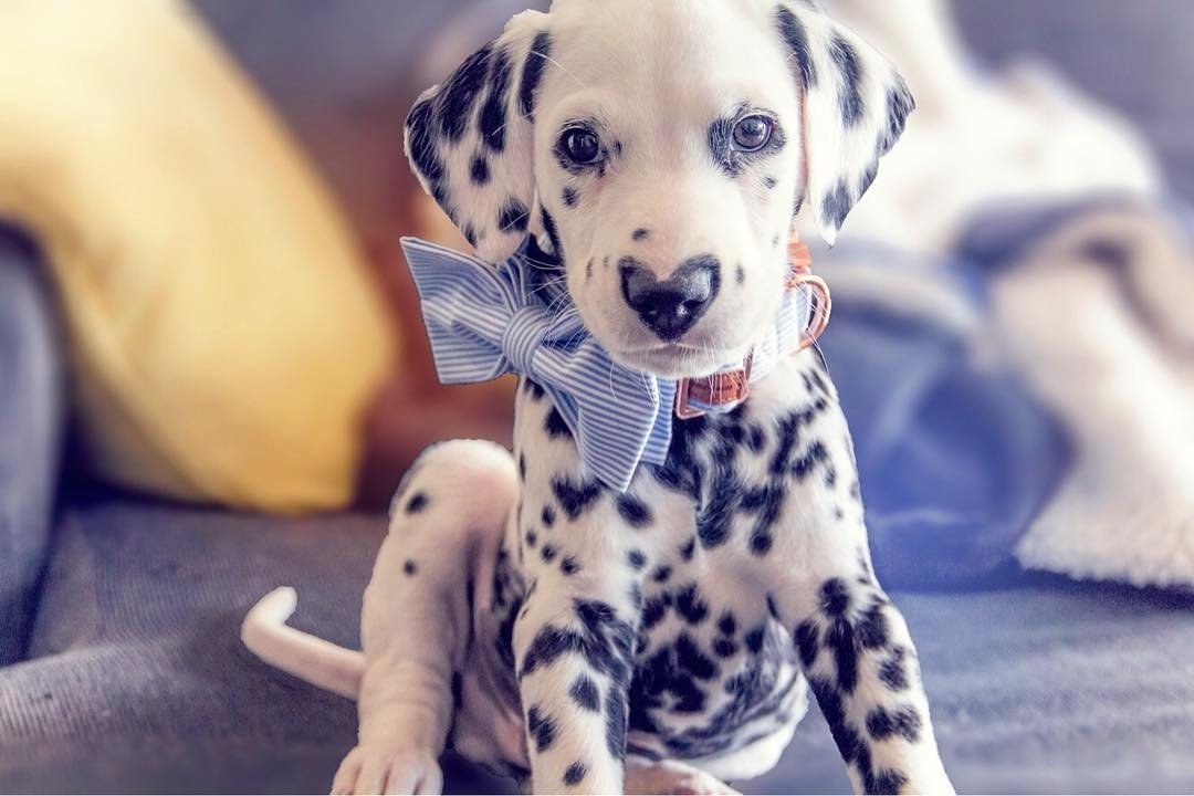 ���� https://fotostrana.ru/away?to=/sl/rhR2 hi.wiley