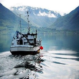 ���� �������, ����� - ��������� 9 ������� 2018