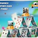 ���� ������, ������, 73 ���� - ��������� 2 ������ 2019 � ������ �������� �������-�������