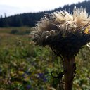  , , 46  -  20  2018     "" ( 2018)