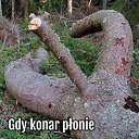  ••,  -  22  2019   - ))