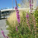 ������� � ������ ))) �� ������� ������� �����