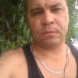 ������, ���������, 46 ���