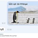  , , 40  -  7  2018    
