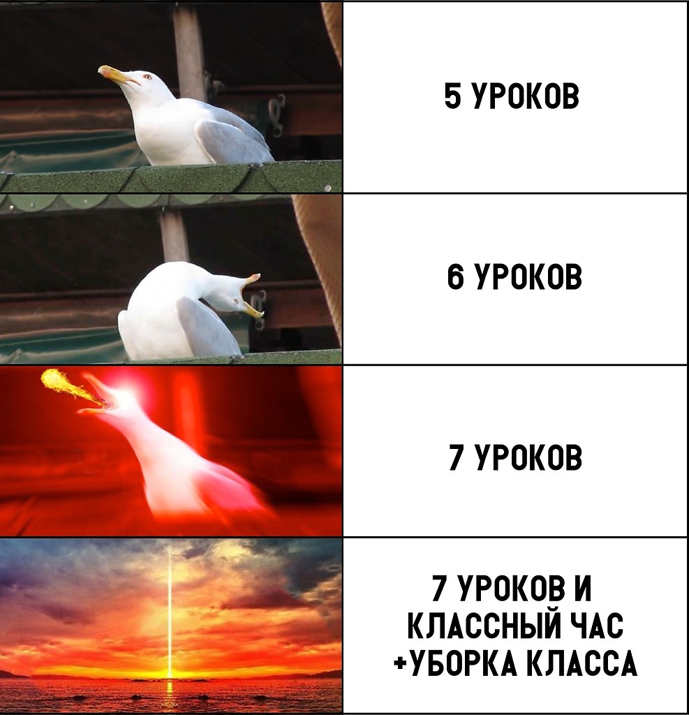 ׸  - 9  2018  16:50