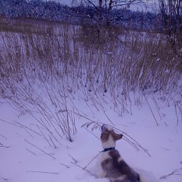 ������, ������������, 44 ����