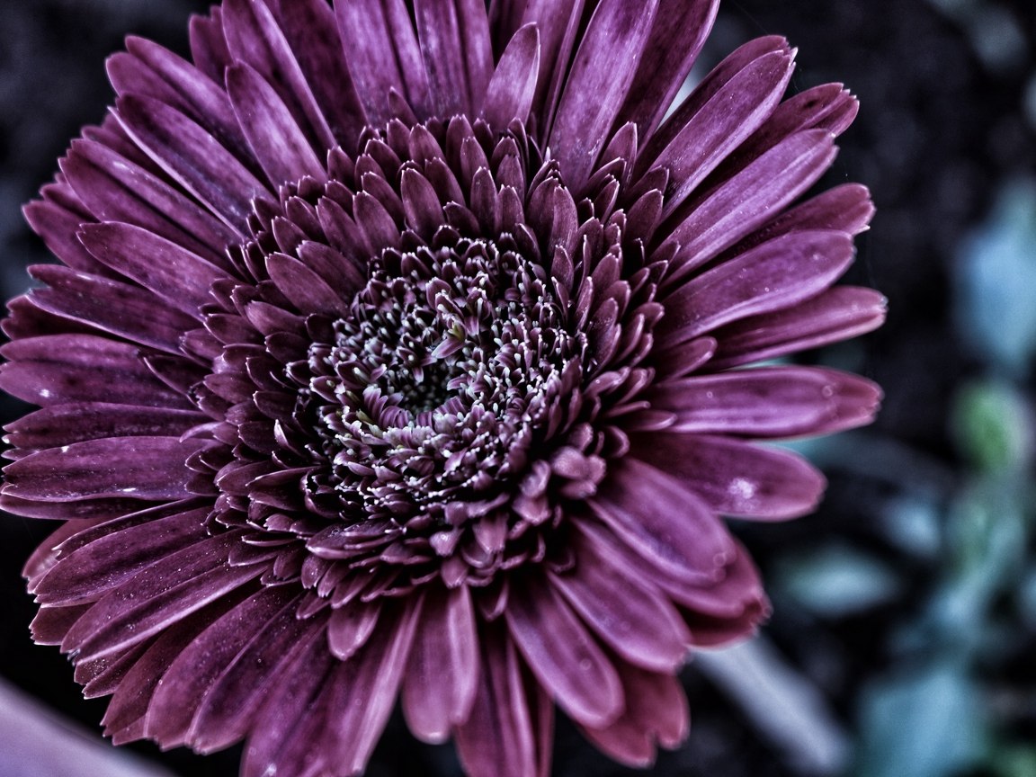 �������� �������! - 9 �������� 2018 � 12:15