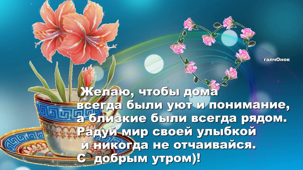 ПРИВЕТСТВИЯ и ПОЖЕЛАНИЯ, открытки на каждый день. опубликовал пост от 3  марта 2019 в 22:35 | Фотострана | Пост №1892197973