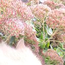 ���� �������, ������, 48 ��� - ��������� 27 ������� 2018 � ������ ������ ��������