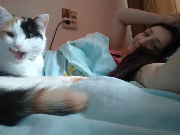 #Безкота_добро.А вот и моя история)) В конце сентября 2017 в подъезде появилась кошечка. Примерно 3 ... - 6