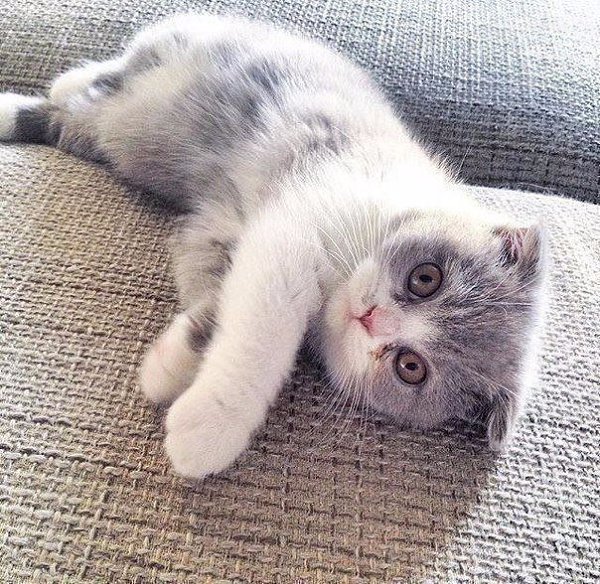 ����� �� �����