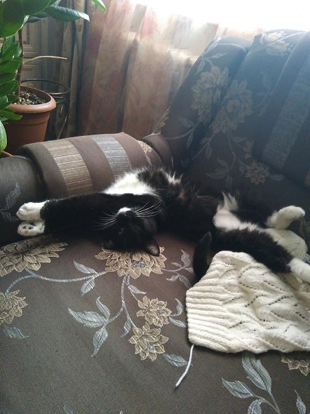 #�������_�����.� 2013 �������� ������, ������ �������,� ������� ������,�������� ��������� �� ����� ... - 9