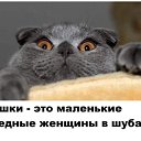  Irina,  -  14  2019    