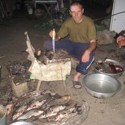 , 56, 