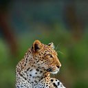 ���� �����, ���������, 59 ��� - ��������� 18 ������ 2018 � ������ ���� ����������