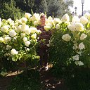 ���� �������, ������, 58 ��� - ��������� 28 ������� 2018 � ������ ���� ����������