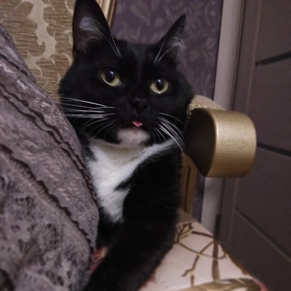 #�������_�����.� 2013 �������� ������, ������ �������,� ������� ������,�������� ��������� �� ����� ... - 7