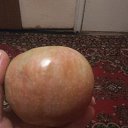 ���� �����, ������, 45 ��� - ��������� 3 ������ 2019 � ������ ���� ����������