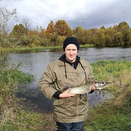 ������, �����, 36 ���