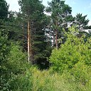  ,  -  20  2018   20/07/2018