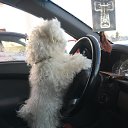  , -, 55  -  17  2018    