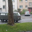  , -, 39  -  11  2018   Bern (Switzerland)