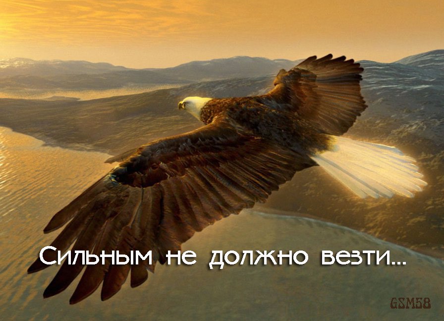 Нет смысла в необдуманных действиях. Прагматизм...