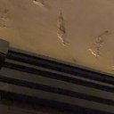���� ������, ����, 56 ��� - ��������� 12 ������ 2018 � ������ ������ ��������