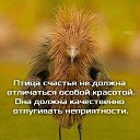 ���� �����, ������� - ��������� 21 ������ 2019 � ������ ���� ����������