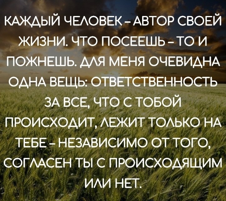 Статус что будет то будет. Каждый человек хозяин своей жизни. Каждый человек живет своей жизнью. Xnj gjcjttim NJ B GJ;vtim. У каждого своя жизнь цитаты.