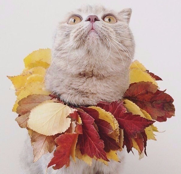    - 5