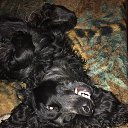 ���� �����, ������������, 52 ���� - ��������� 20 ������ 2019 � ������ ���� ����������