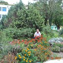  Viktor,  -  30  2018    