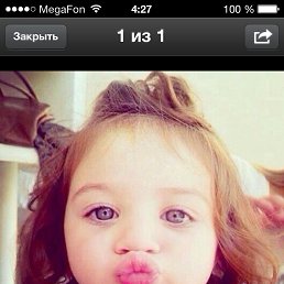 ������, ������ ��������, 40 ���