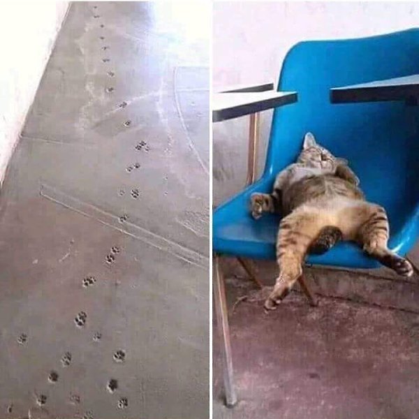     :