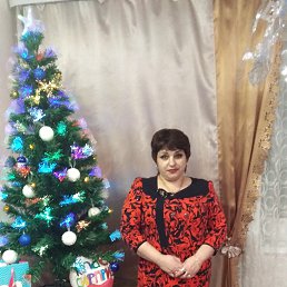 �����, ������������, 56 ���