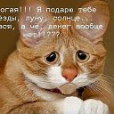  Elena, , 71  -  28  2018    