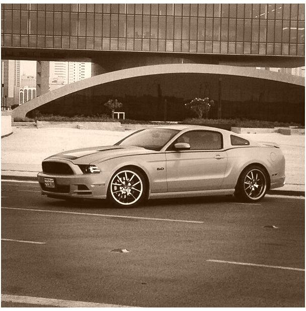 Ford Mustang Shelby - 2